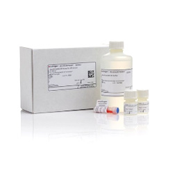 Invitrogen Q32855 Qubit? RNA HS Assay Kit現貨促銷 